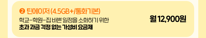틴에이저 (4.5GB+/기본)